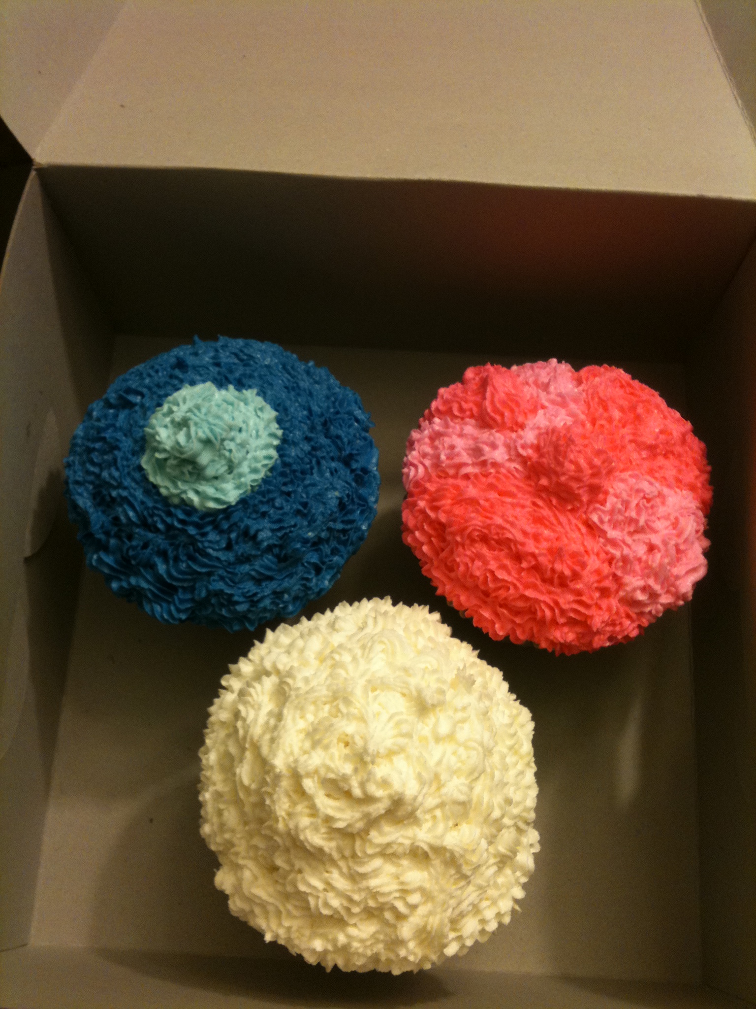 Large Cupcakes